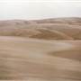 Stockton Dunes - Worimi National Park