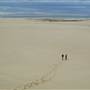 Stockton Dunes - Worimi National Park