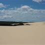 Stockton Dunes - Worimi National Park