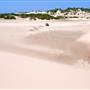 Stockton Dunes - Worimi National Park