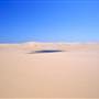 Stockton Dunes - Worimi National Park