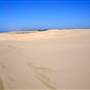 Stockton Dunes - Worimi National Park