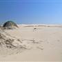 Stockton Dunes - Worimi National Park