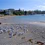Terrigal Beach