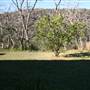 Wisemans Ferry
