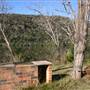 Wisemans Ferry