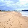 Umina Beach