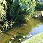 Arthur McElhone Reserve