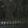 Wallis Lake - Coomba Park