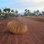Lightning Ridge