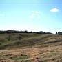 Lithgow Township & Surrounds