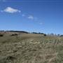 Lithgow Township & Surrounds
