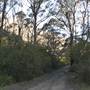 Lithgow Township & Surrounds