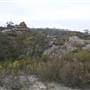 The Lost City