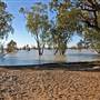 Menindee