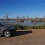 Menindee