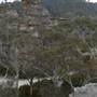 The Lost City