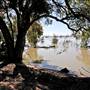 Menindee