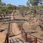 Menindee