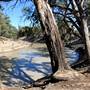 Menindee