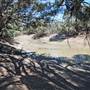 Menindee