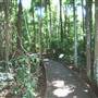 Victoria Park Nature Reserve