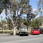 Patton Street - Broken Hill