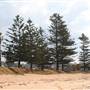 Long Reef Point