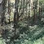 Macquarie Pass National Park