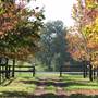 Malniri Park Stud