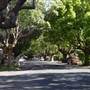 Marrickville Neighbourhood