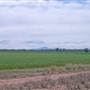 Narrabri