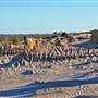 Mungo National Park