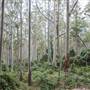 Murramarang National Park