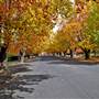 Orange and surrounds