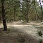 Newnes State Forest