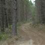 Newnes State Forest