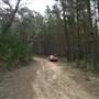 Newnes State Forest