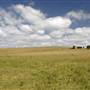 Menangle Area