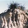 Milkengay Lake Sand Dunes