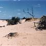 Milkengay Lake Sand Dunes