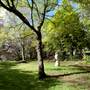 Milton Park Country House Hotel & Spa