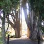 Milton Park Country House Hotel & Spa