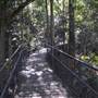 Minnamurra Falls