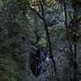 Minnamurra Falls