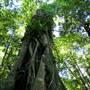 Mount Keira Scout Camp File 1