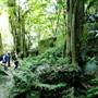 Mount Keira Scout Camp File 1