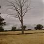 Paddys Creek Rd, Dubbo