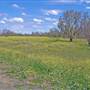 Rural Roads - Narrabri Area