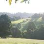 Rolling Hills - Southern Highlands